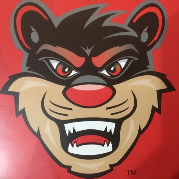 University of Cincinnati Poster Other - University of Cincinnati Bearcats Poster/Handout